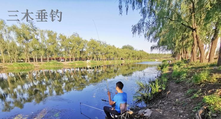 春季水库野钓鲤鱼技巧大揭秘（选钓点有讲究，钓鲤鱼从此变得轻松简单）