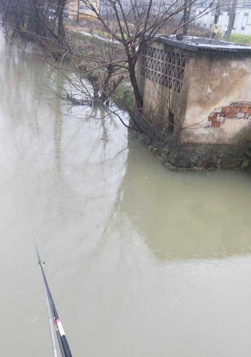 春季下雨天钓鱼技巧（雨中钓鱼的窍门与经验）