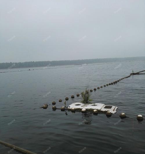 春季下雨野钓技巧大揭秘（雨中垂钓，掌握这些技巧才能钓到满载而归！）