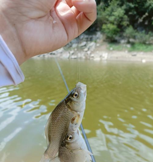 大河沟钓鱼技巧揭秘（河水漫流，钓鱼有妙招）