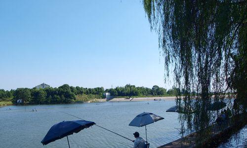 大河垂钓的技巧与方法（探秘大河垂钓，钓友必备技巧）