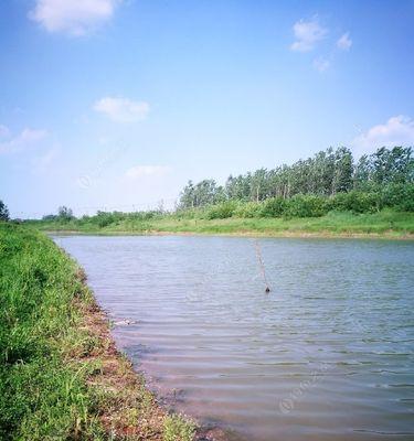 大河里钓鱼的技巧与方法（深入探索大河里钓鱼的窍门，成功捕获大鱼的技巧）