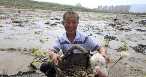 大河里用虾钓鱼技巧（技巧、经验、乐趣）