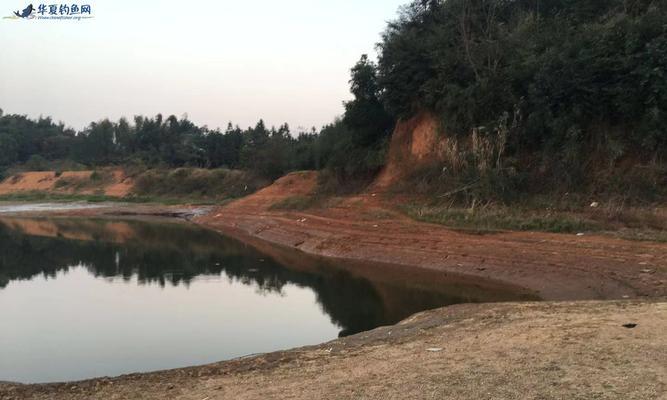 大河手竿野钓技巧（探秘钓鱼达人的技巧与心得）