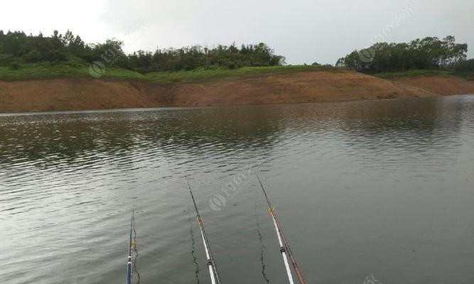 大河水库钓鱼技巧（探寻大河水库的钓鱼宝典）