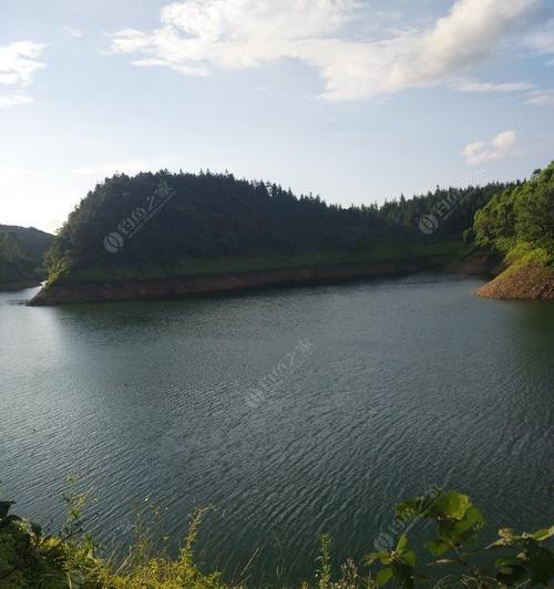 大河水库钓鱼技巧（探寻大河水库的钓鱼宝典）