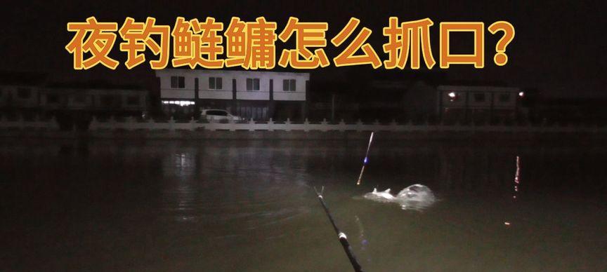 大河夜钓鲢鳙的技巧与心得（掌握夜钓技巧，享受河中美味鱼儿的乐趣）