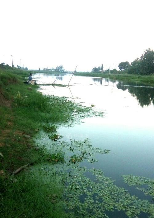 大河涨水钓鱼技巧（钓鱼技巧分享，享受大自然的丰饶）