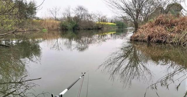 大洪水过后的河道钓鱼技巧（解锁高效钓鱼秘籍，享受洪灾后的丰盛渔获）