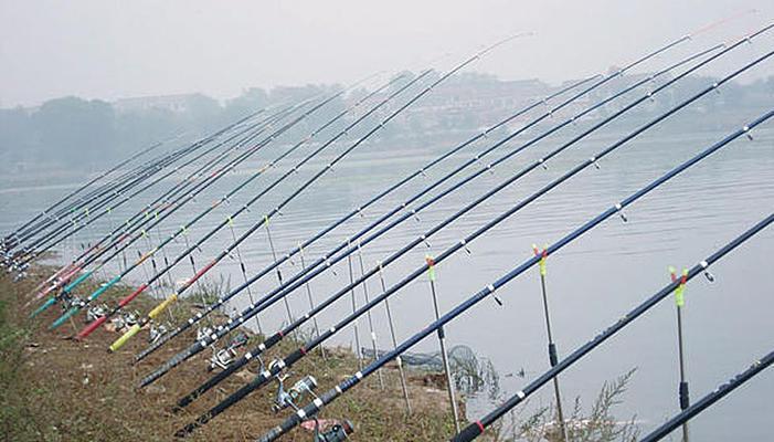 大湖海竿钓鱼技巧（掌握正确的钓鱼技巧，享受大湖海竿钓鱼乐趣）