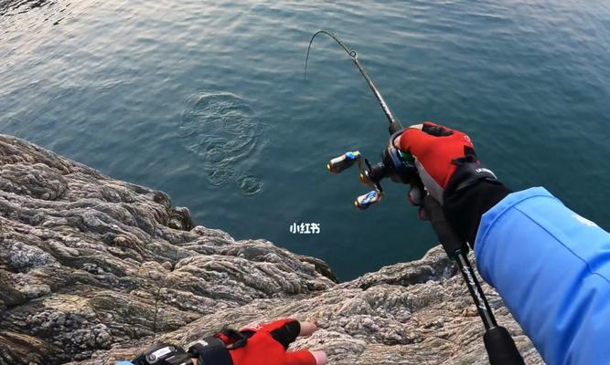 大连秋天海边钓鱼技巧（享受秋日海边钓鱼的乐趣，让你钓到满满收获）