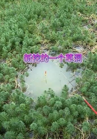 大量储水池钓鱼技巧（掌握储水池钓鱼的窍门，享受丰收乐趣）