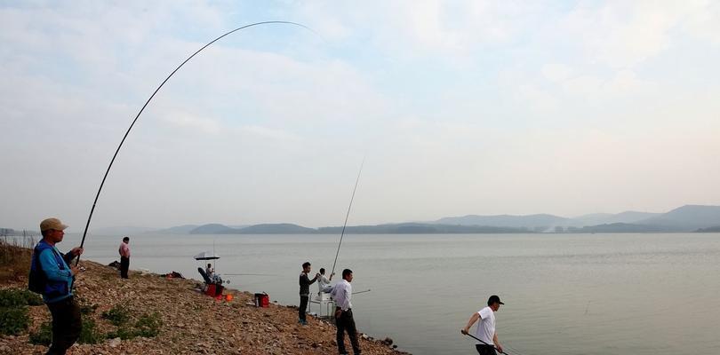 夏季大棚钓鱼技巧教学（掌握技巧，畅享夏日钓鱼乐趣）