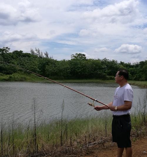 大桥人工湖钓鱼技巧（享受钓鱼乐趣，掌握大桥人工湖钓鱼技巧）