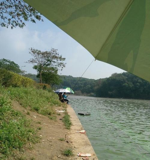 大热天水库钓鱼技巧（畅享夏日钓鱼乐趣，水库钓鱼小技巧分享）