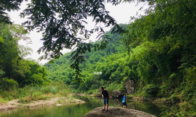 大山溪流钓鱼技巧教程（探索大山溪流，成为高级钓鱼者）