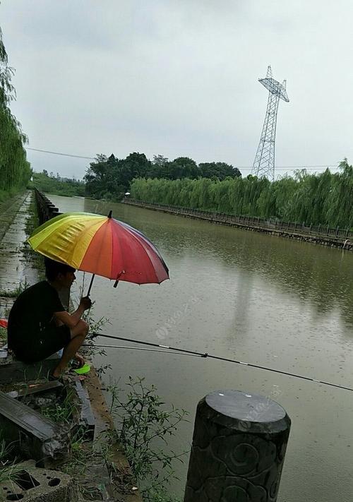 大神传授钓鱼技巧（深入钓鱼技巧，瞭解大神秘笈）