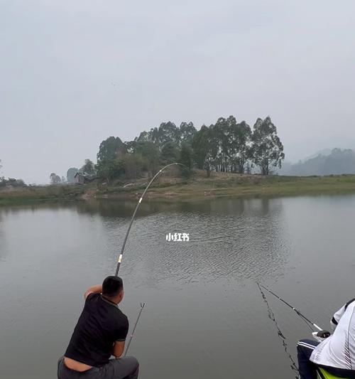 大师钓鱼技巧揭秘（掌握关键诀窍，成为钓鱼高手）