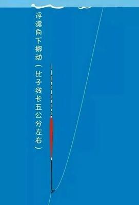 大师野钓调漂技巧（掌握钓鱼高招，让钓鱼变得更有趣）