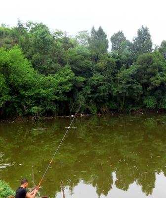 大水库钓鱼的技巧与方法（享受钓鱼乐趣大水库钓点攻略解析）