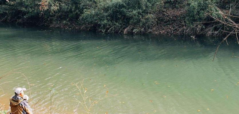 大水库野钓技巧与方法（提升钓鱼成功率的实用技巧与经验分享）