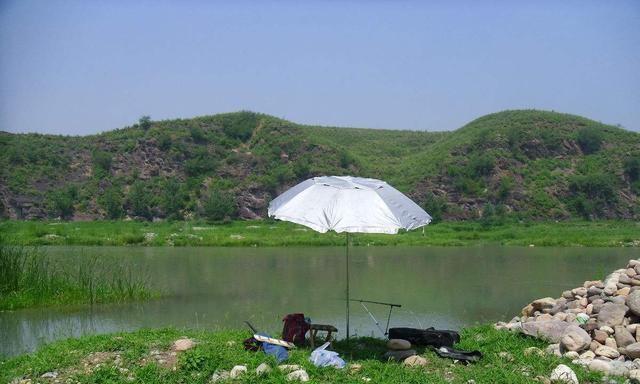 岛上钓鱼技巧（大水面岛上的渔夫必备技巧）