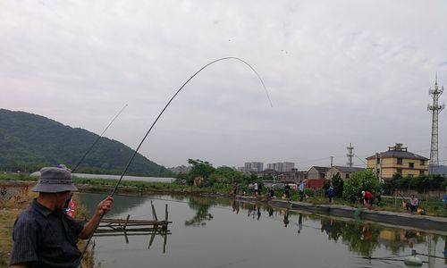 大水面钓鱼打窝技巧（技巧掌握，鱼多不愁）