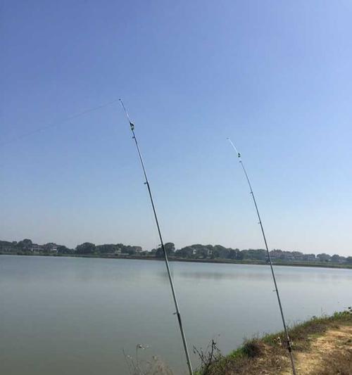 冬天大水面钓鱼技巧（寒冬捕鱼秘籍，教你冬天大水面钓鱼的绝技）