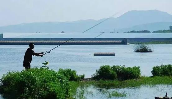 大水面江河钓鱼技巧（掌握巧妙技巧钓上丰收满满）