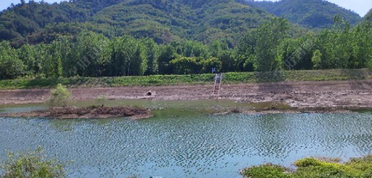 大水面钓鱼打窝技巧（提高钓鱼效果，掌握打窝技巧）