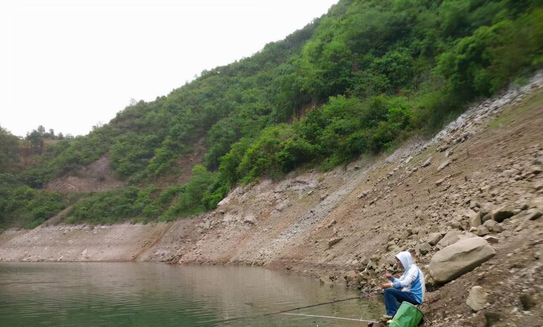 大水面溪流钓鱼技巧（享受畅游溪流，捕捉丰富渔获）