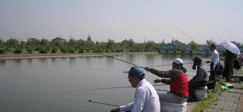 大水域手竿钓鱼技巧（掌握竿法鱼获满满）