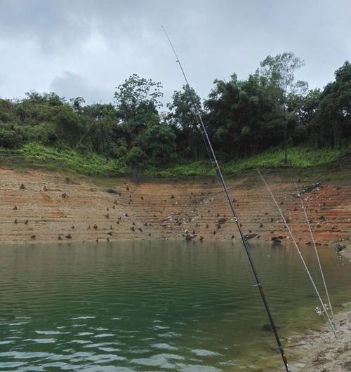 大峡口水库钓鱼技巧（探寻大峡口水库钓鱼的秘密，让你成为顶级钓手！）