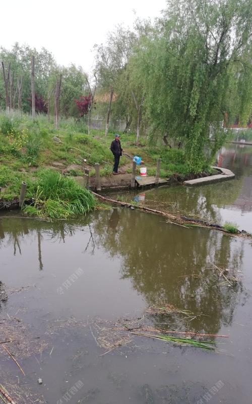 钓鱼技巧大揭秘——大型水库谷雨前后（把握时机，提升钓鱼成功率，谷雨前后钓鱼技巧一网打尽！）