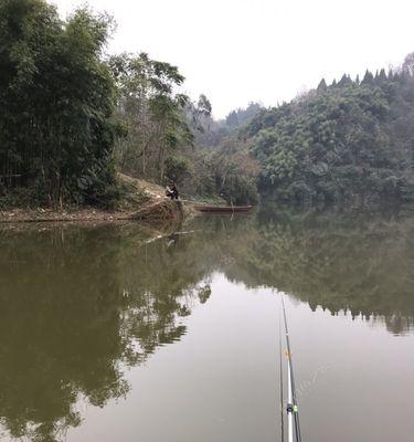 水库野钓技巧大揭秘（掌握技巧，轻松享受水库野钓乐趣）