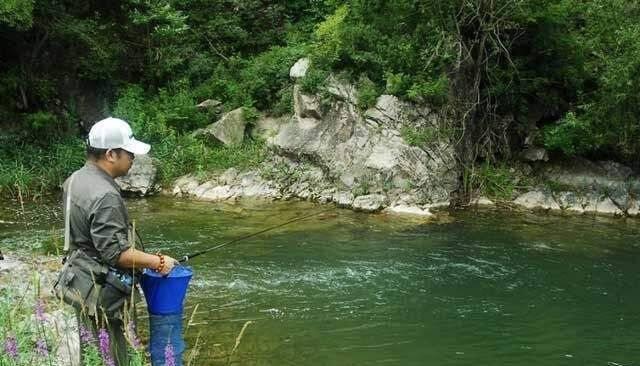 大雄流水口钓鱼技巧（掌握流水口钓鱼的技巧，增加钓获的几率）