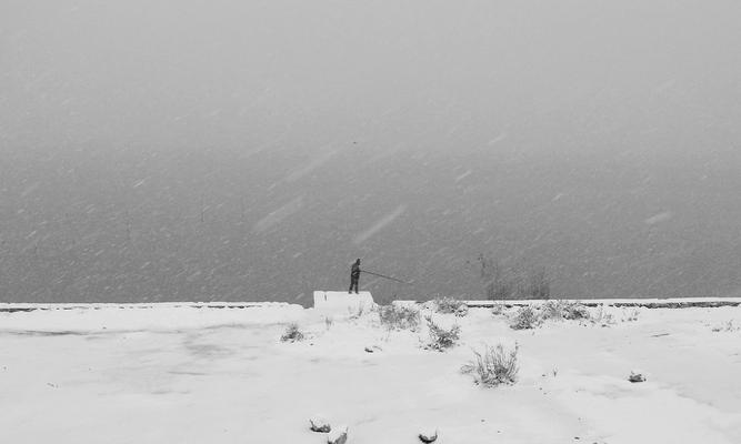 东北大雪天钓鱼技巧（技巧分享，钓鱼高手的秘密揭秘）