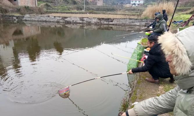 大眼鸡钓鱼绝密技巧（钓鱼达人揭秘，让你钓到满满一桶鱼）