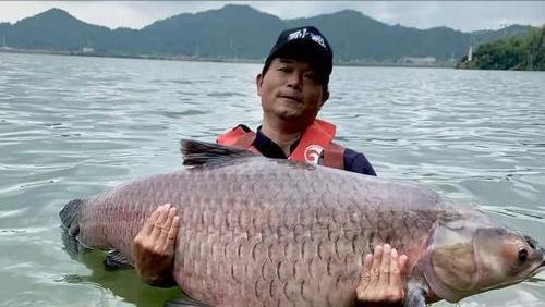 大鱼钓鱼的技巧与窍门（提升钓鱼技艺的饵料选择与运用方法）