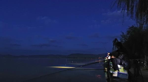 浑水夜钓的技巧与经验（大雨过后第一天的夜钓策略与注意事项）