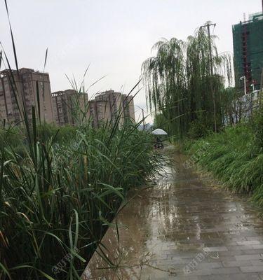 大雨过后的钓鱼宝典（选点钓技巧一览）