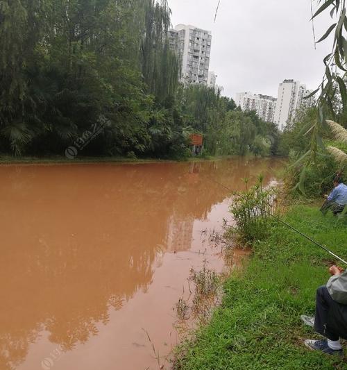 雨后河水钓鱼的技巧（掌握水流变化，提升钓鱼成功率）