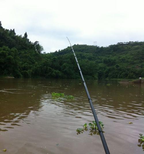 浑水钓鱼的技巧与心得（大雨后的捕鱼秘籍，效果惊人！）