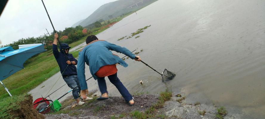 大雨后水库钓鱼技巧（钓鱼技巧，享受大雨后的水库钓鱼乐趣）