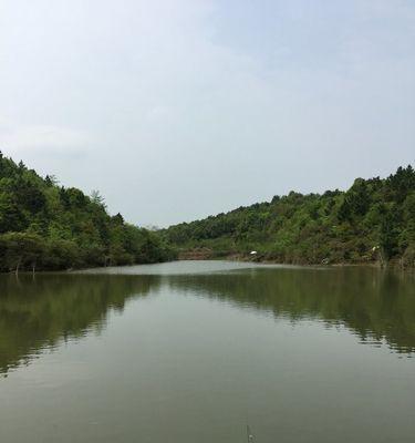 大雨后野钓水库鲫鱼的技巧与方法（钓鲫鱼的必备技巧和注意事项）