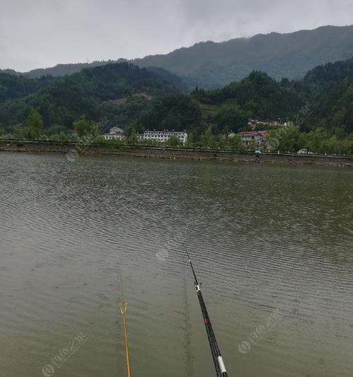 大雨天钓鱼的方法与技巧入门（轻松应对雨天钓鱼，提高收获率）