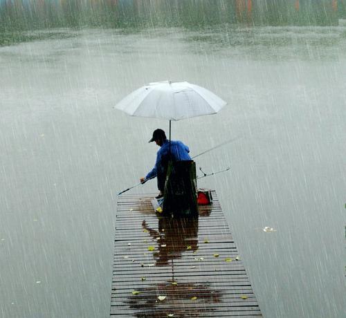 大雨天过后钓鱼技巧（湿地环境下的钓鱼宝典）