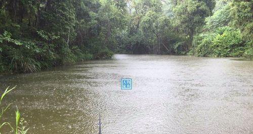 大雨天过后钓鱼技巧（湿地环境下的钓鱼宝典）