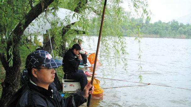 岱山水库钓鱼技巧与方法（钓鱼高手分享的岱山水库钓鱼技巧与心得）