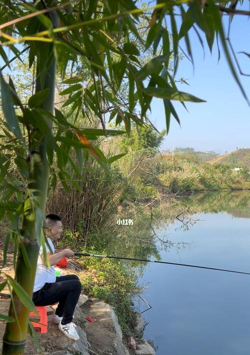 钓鱼乐趣无限，带小朋友享受自然之旅（亲子钓鱼，培养孩子探索自然的能力）